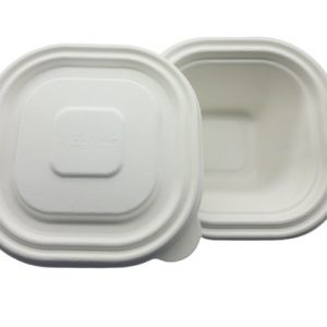 #53000 Bagasse 350 ML Container with Lid