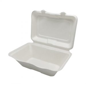 #53010 Bagasse 8 x 5 take away Container