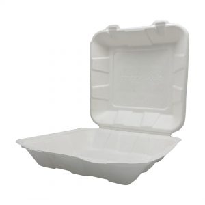 #53011 Bagasse 9 x 9 take away container